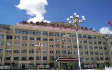 競(jìng)達(dá)水電遠(yuǎn)程集抄系統(tǒng)成功登陸世界屋脊的“圣地”拉薩！